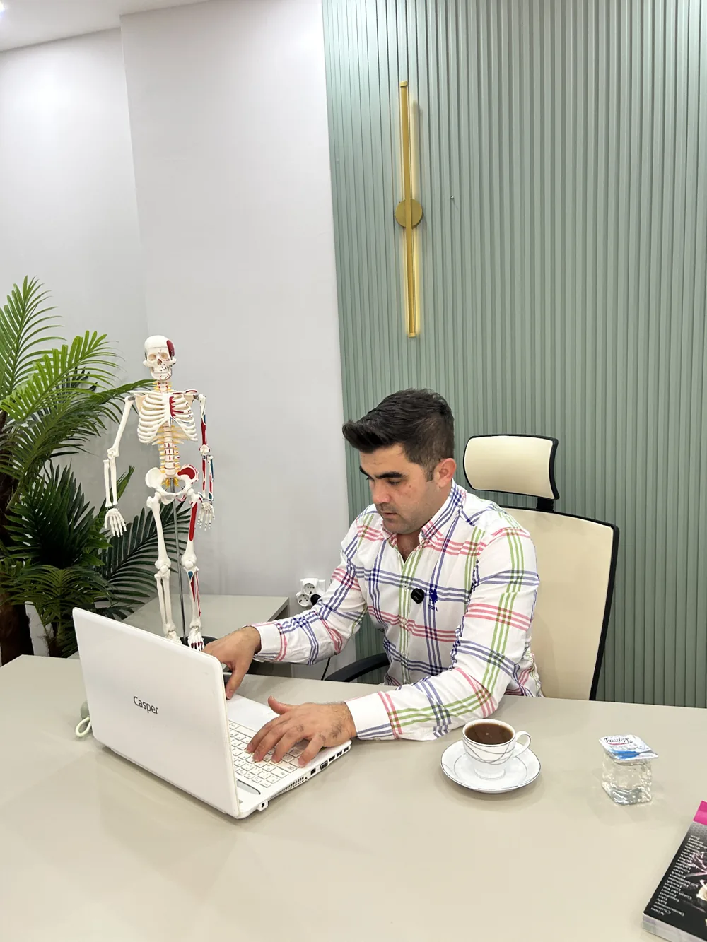 Kronik Ağrı